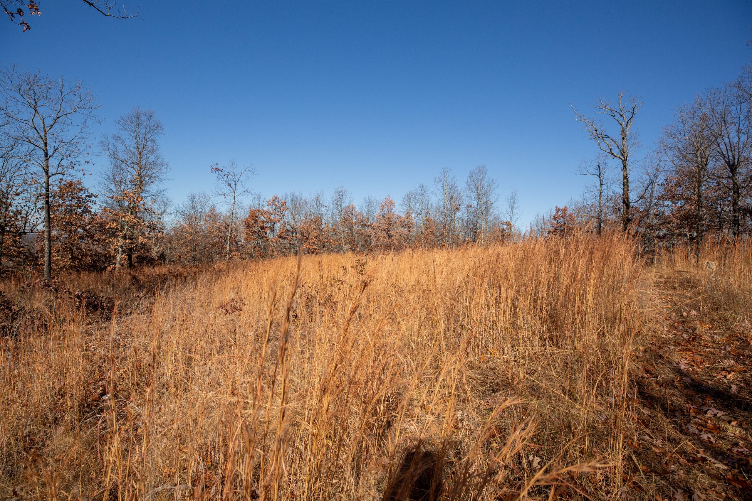 Dutchman Hollow photo 10