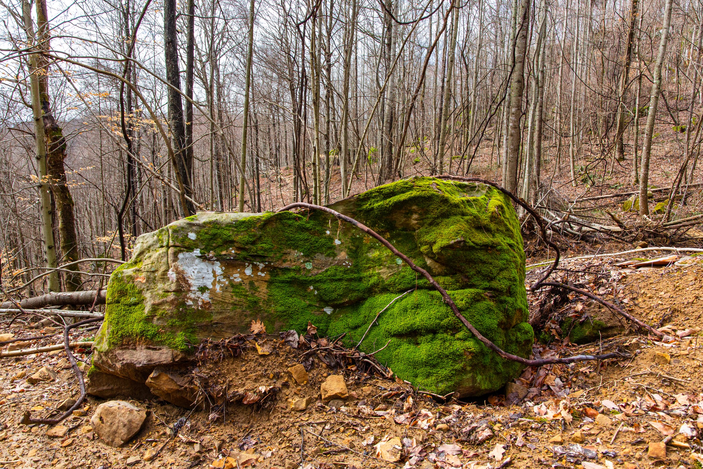 Blackstone Mountain Phase II photo 9