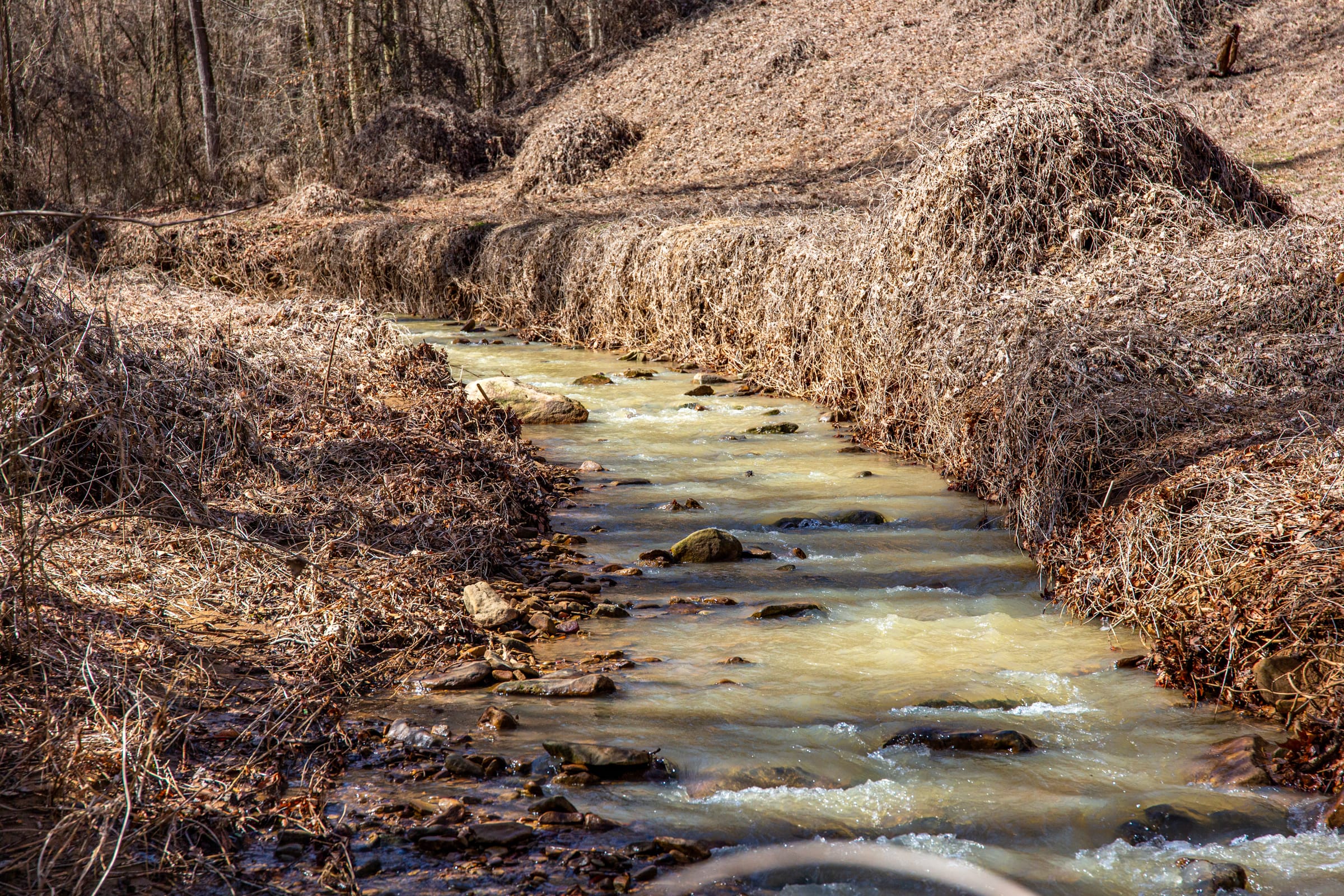 Blackstone Mountain Phase II photo 12