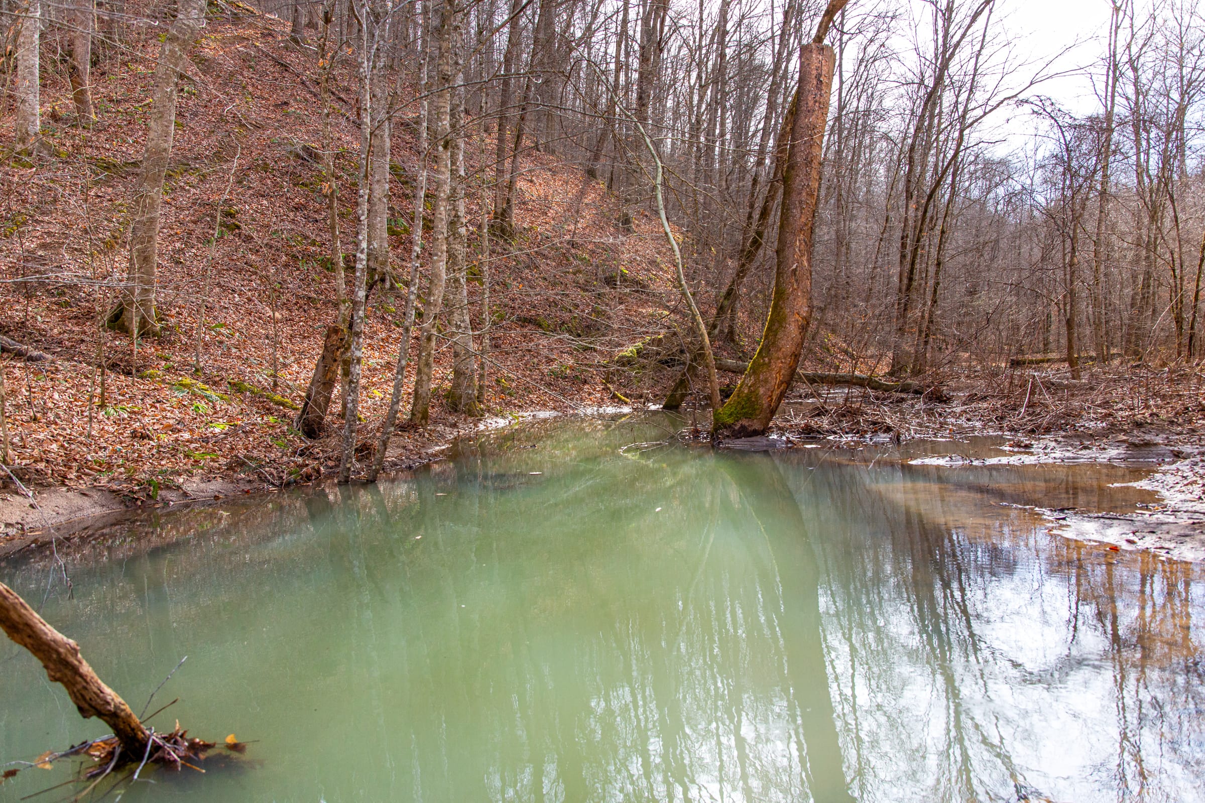 Blackstone Mountain Phase II photo 4