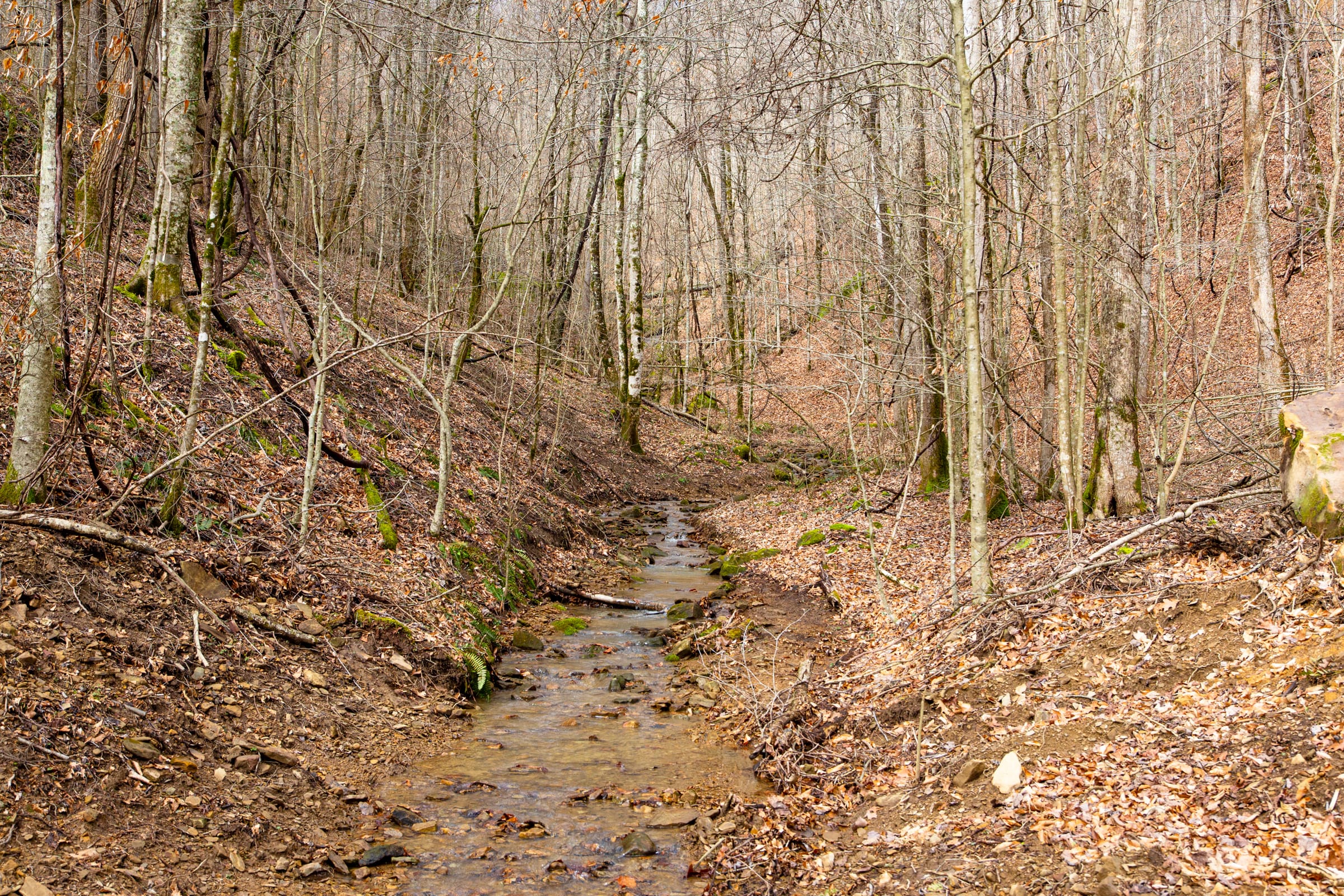 Blackstone Mountain Phase II photo 10