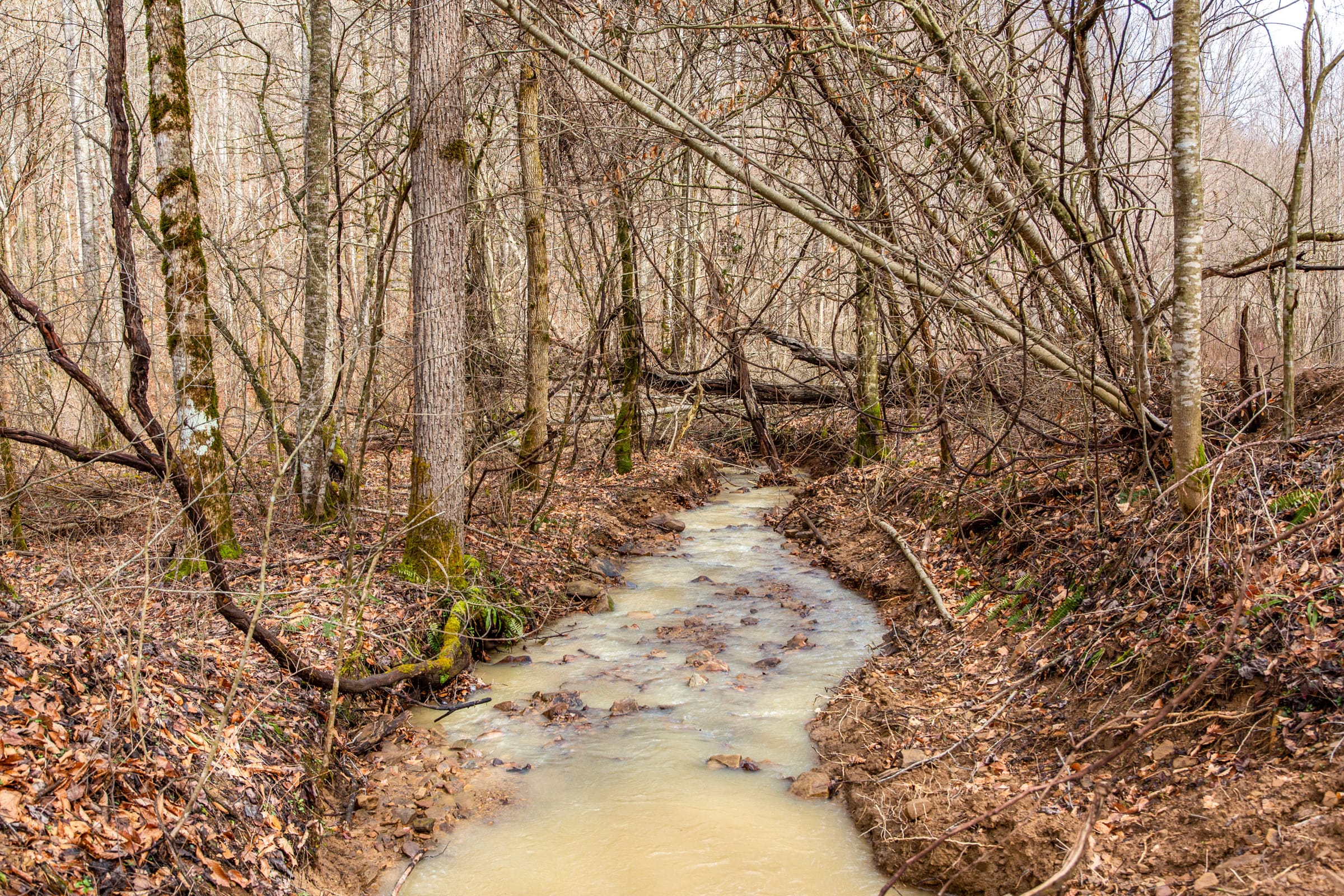 Blackstone Mountain Phase II photo 11