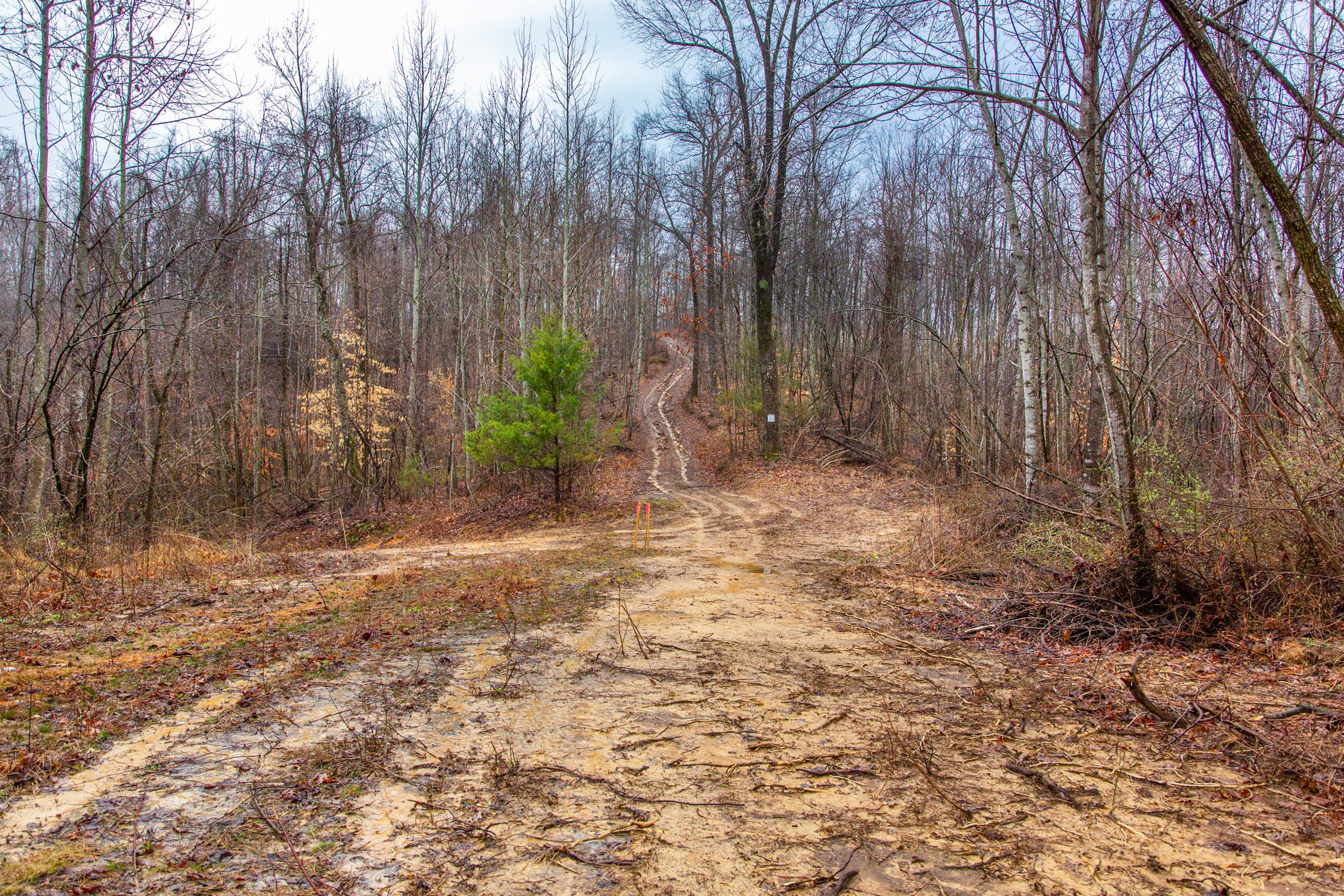 Blackstone Mountain Phase II photo 8