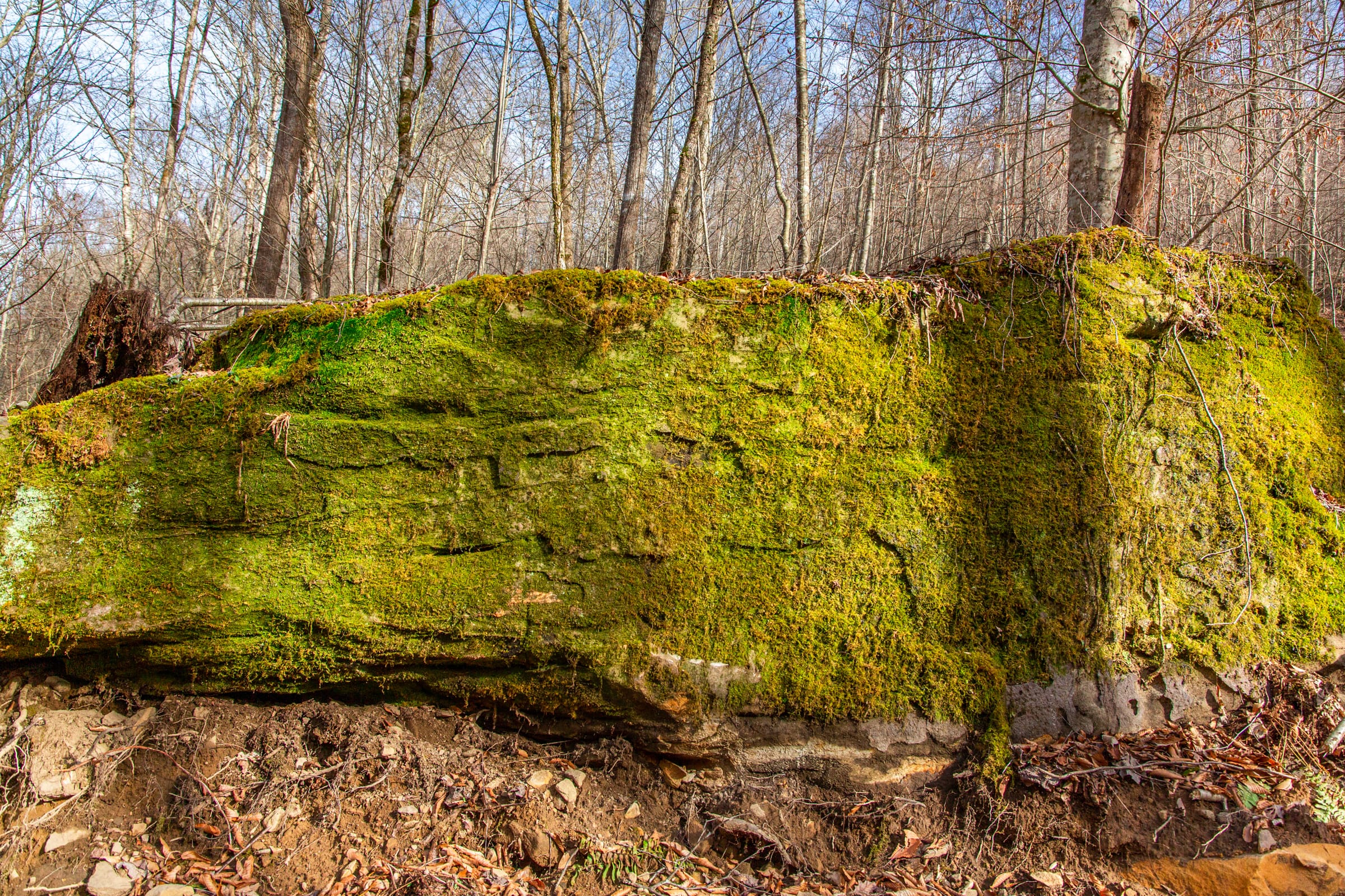 Blackstone Mountain Phase II photo 6