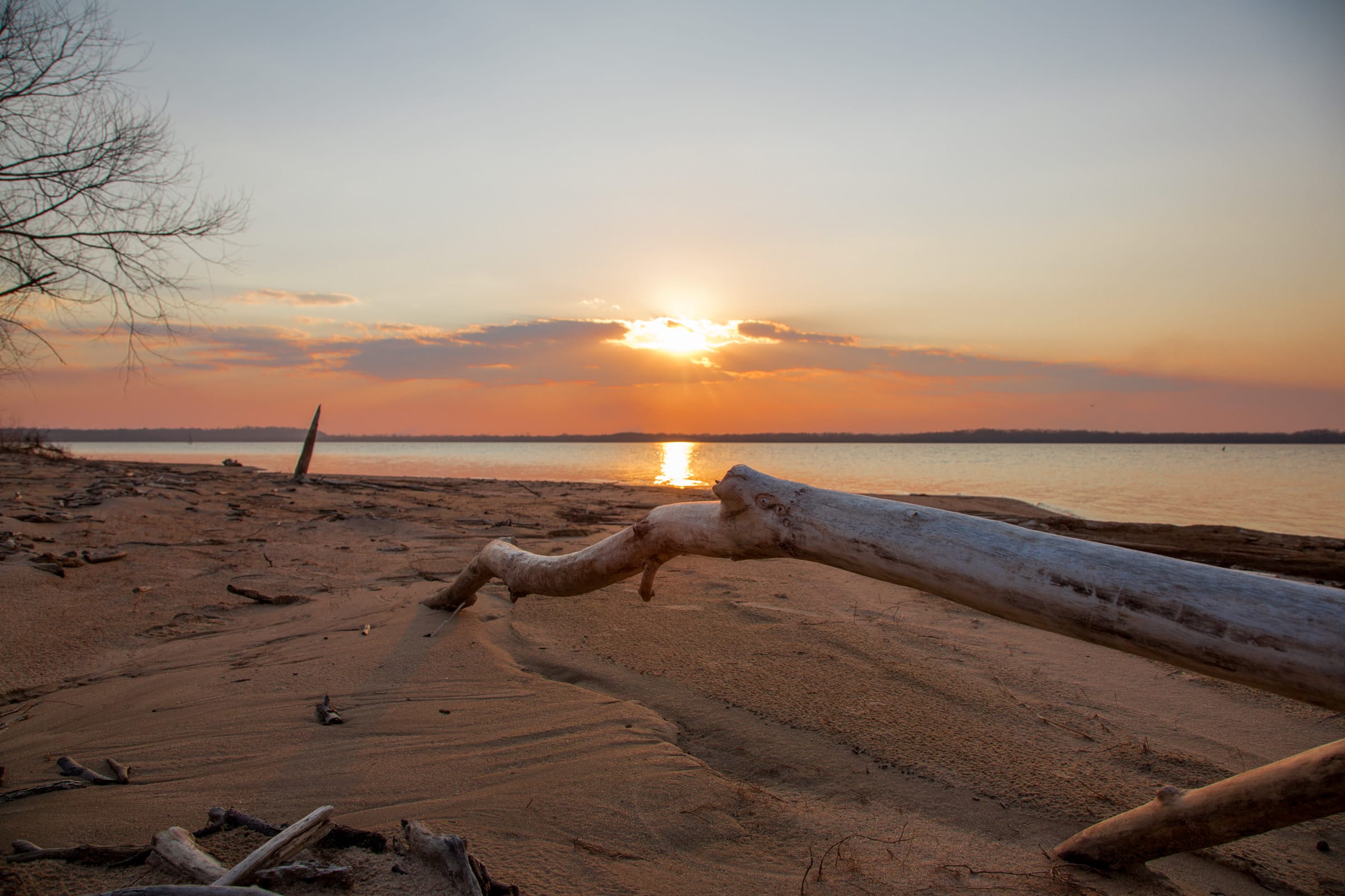 Eufaula Cove photo 22