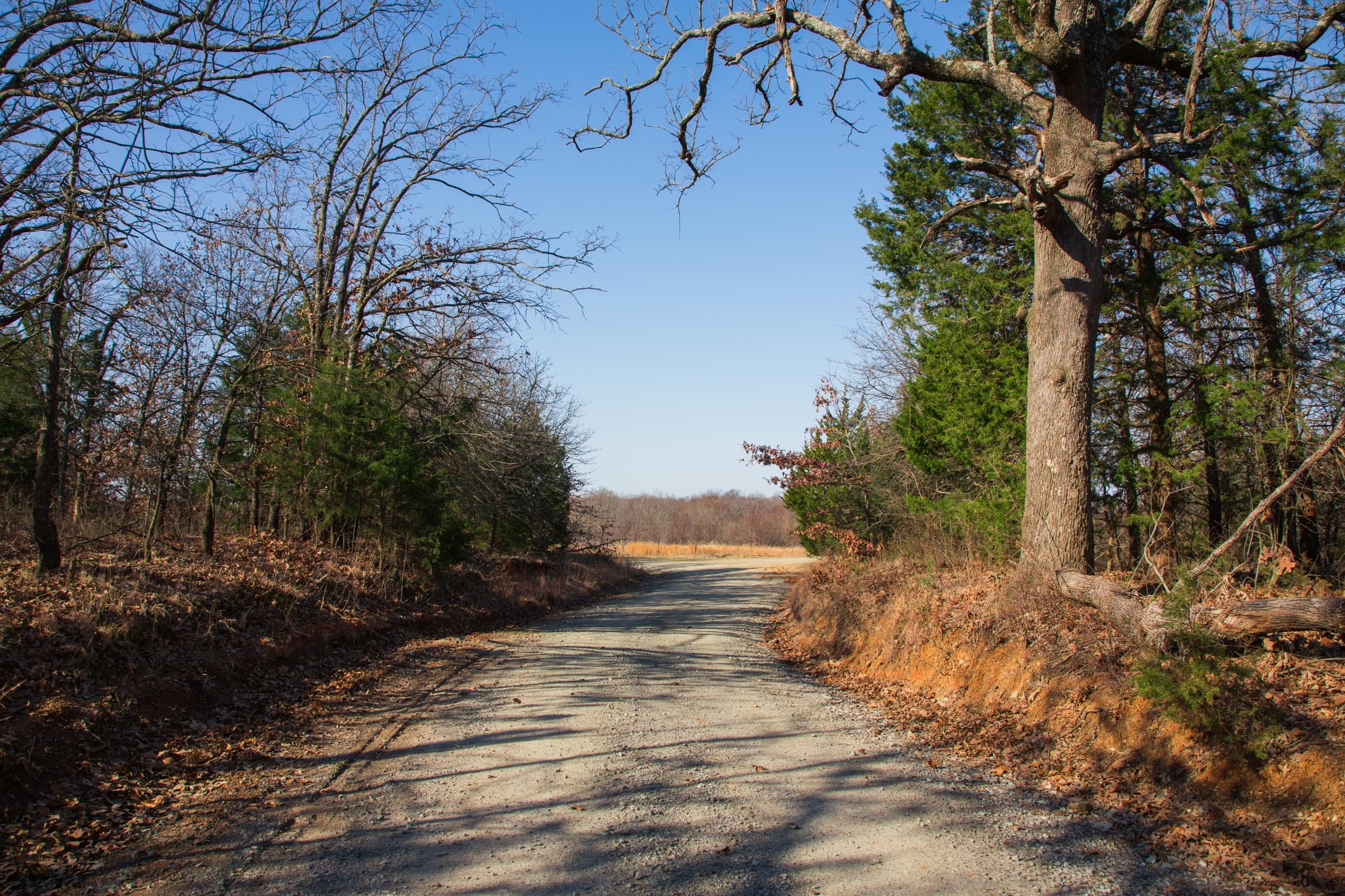 Eufaula Cove photo 3