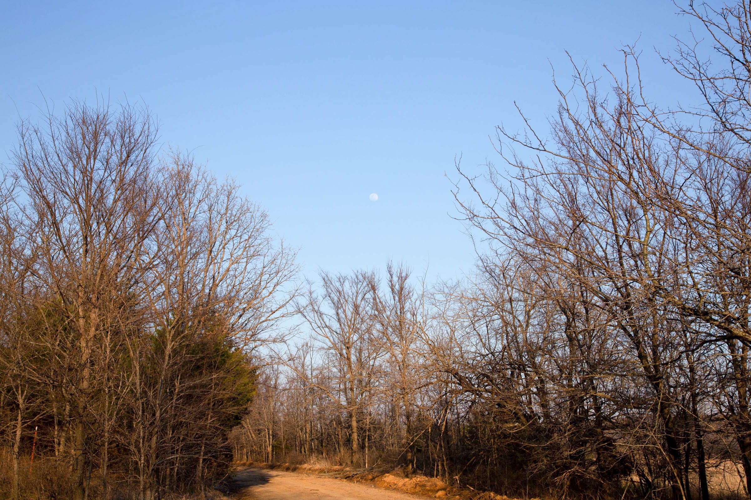 Eufaula Cove photo 9
