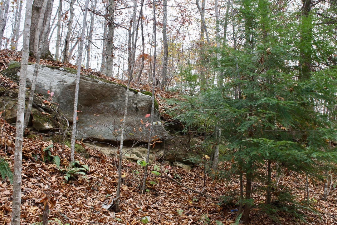 Autumn Ridge photo 9