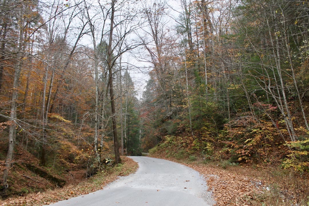 Autumn Ridge photo 24