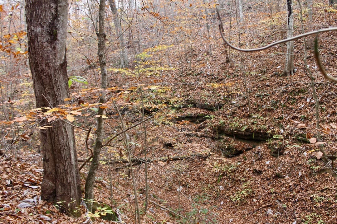 Autumn Ridge photo 5