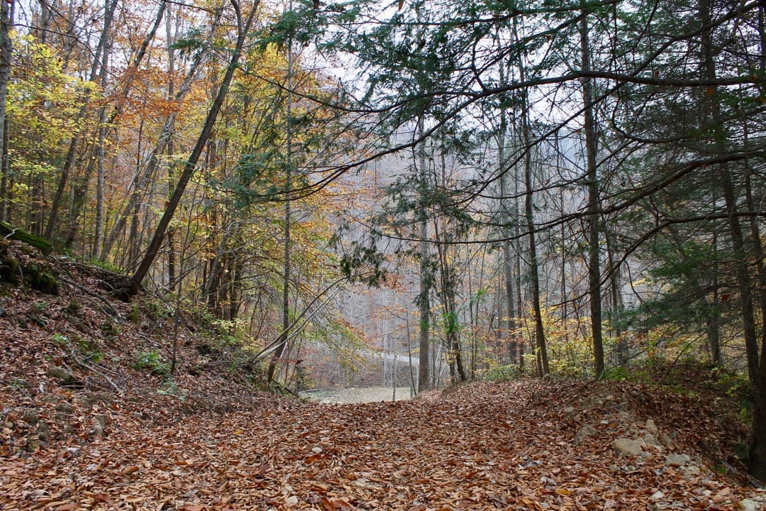 Autumn Ridge photo 17