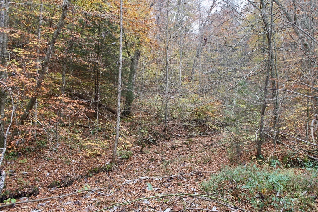 Autumn Ridge photo 26