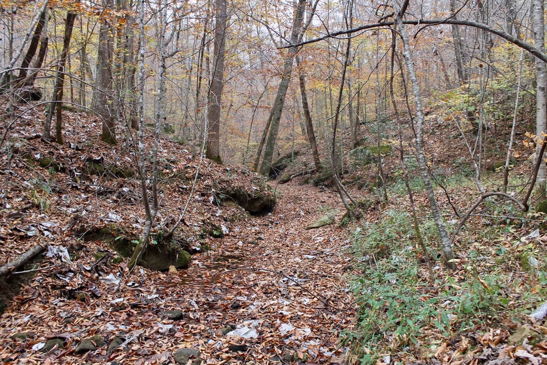 Autumn Ridge photo 15