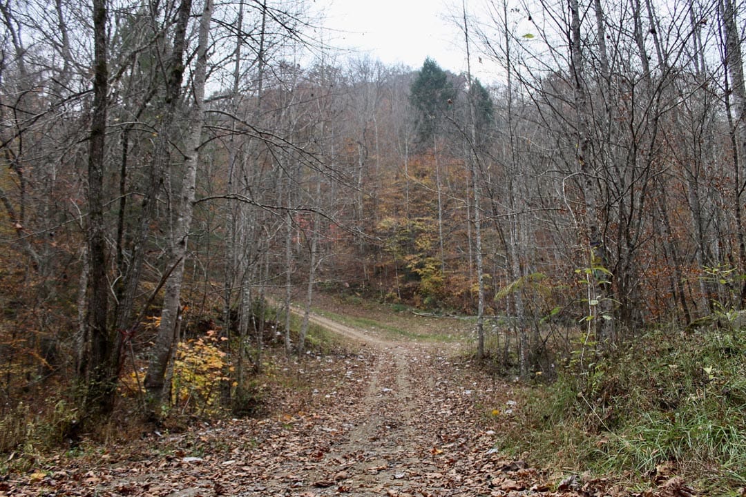 Autumn Ridge photo 25