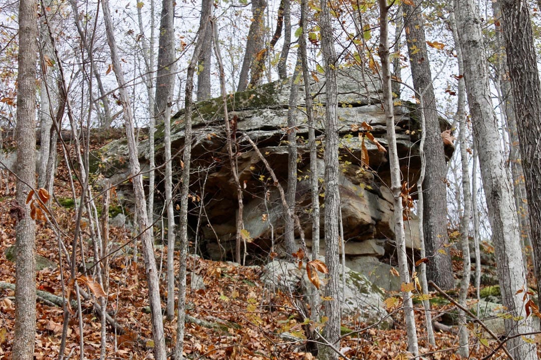 Autumn Ridge photo 29