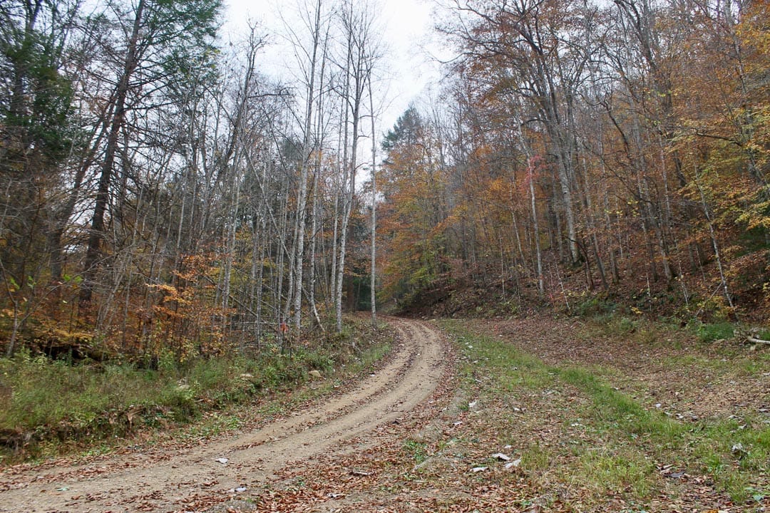 Autumn Ridge photo 28
