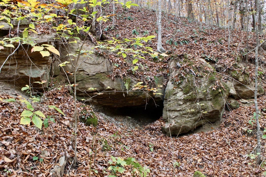Autumn Ridge photo 23