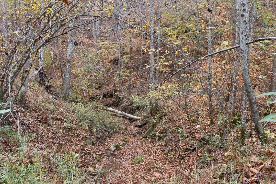 Autumn Ridge photo 14