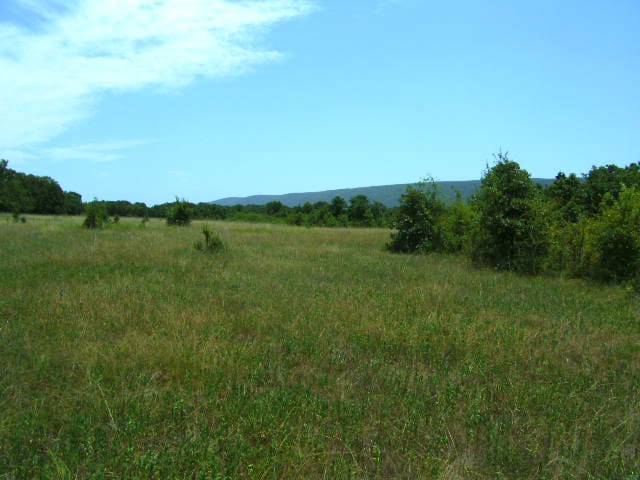 Mountain View Ranch photo 7
