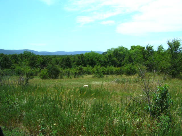Mountain View Ranch photo 6