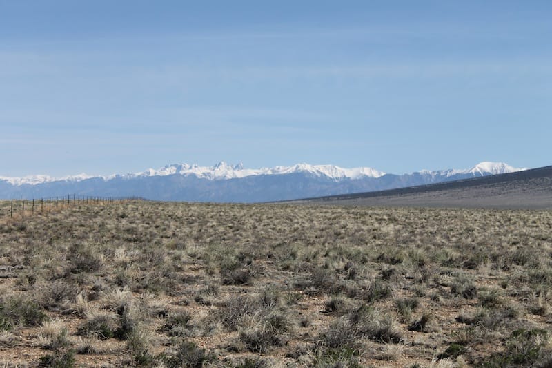 U Lazy U Ranch photo 8