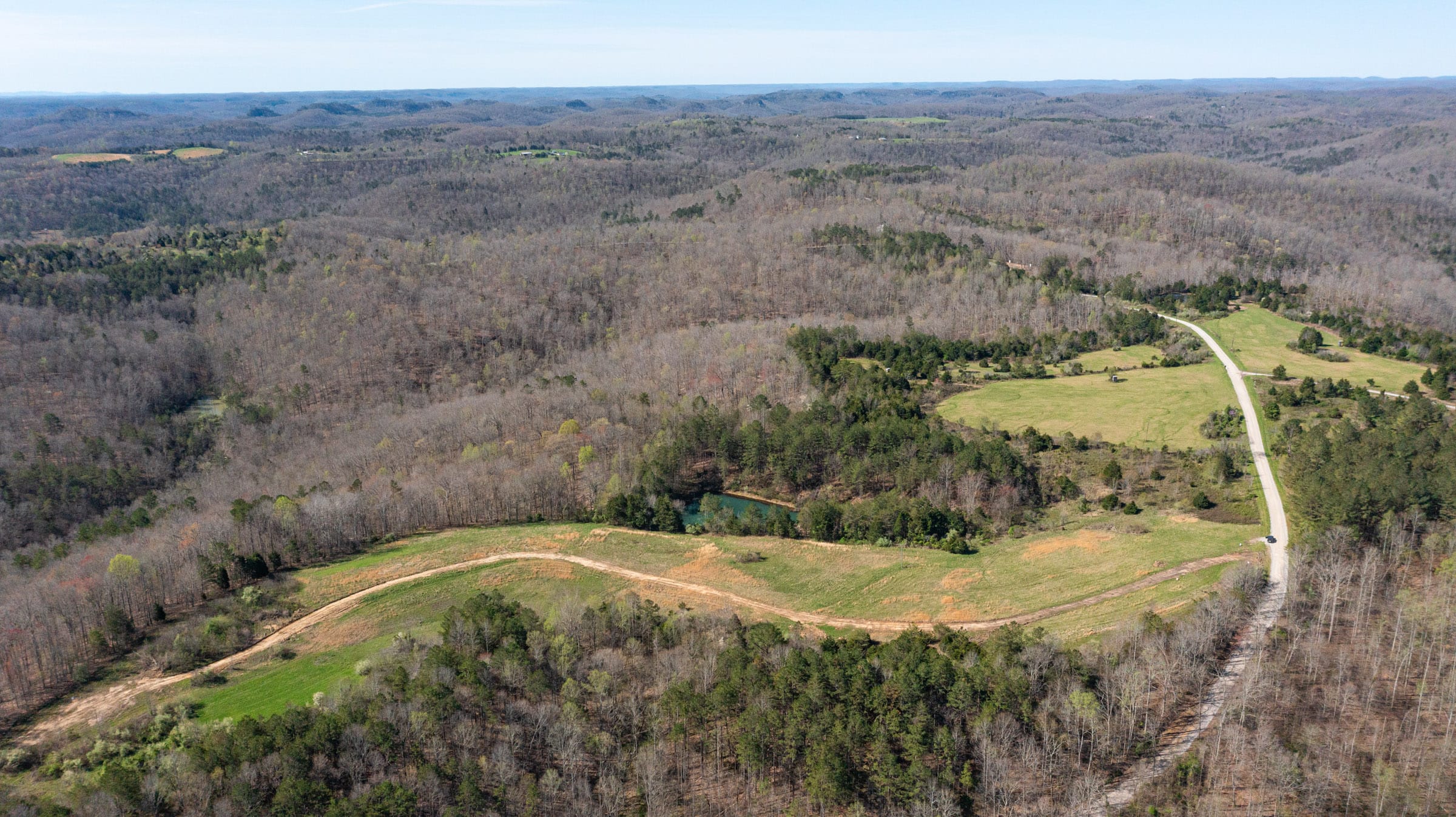 Woodland Heights photo 3