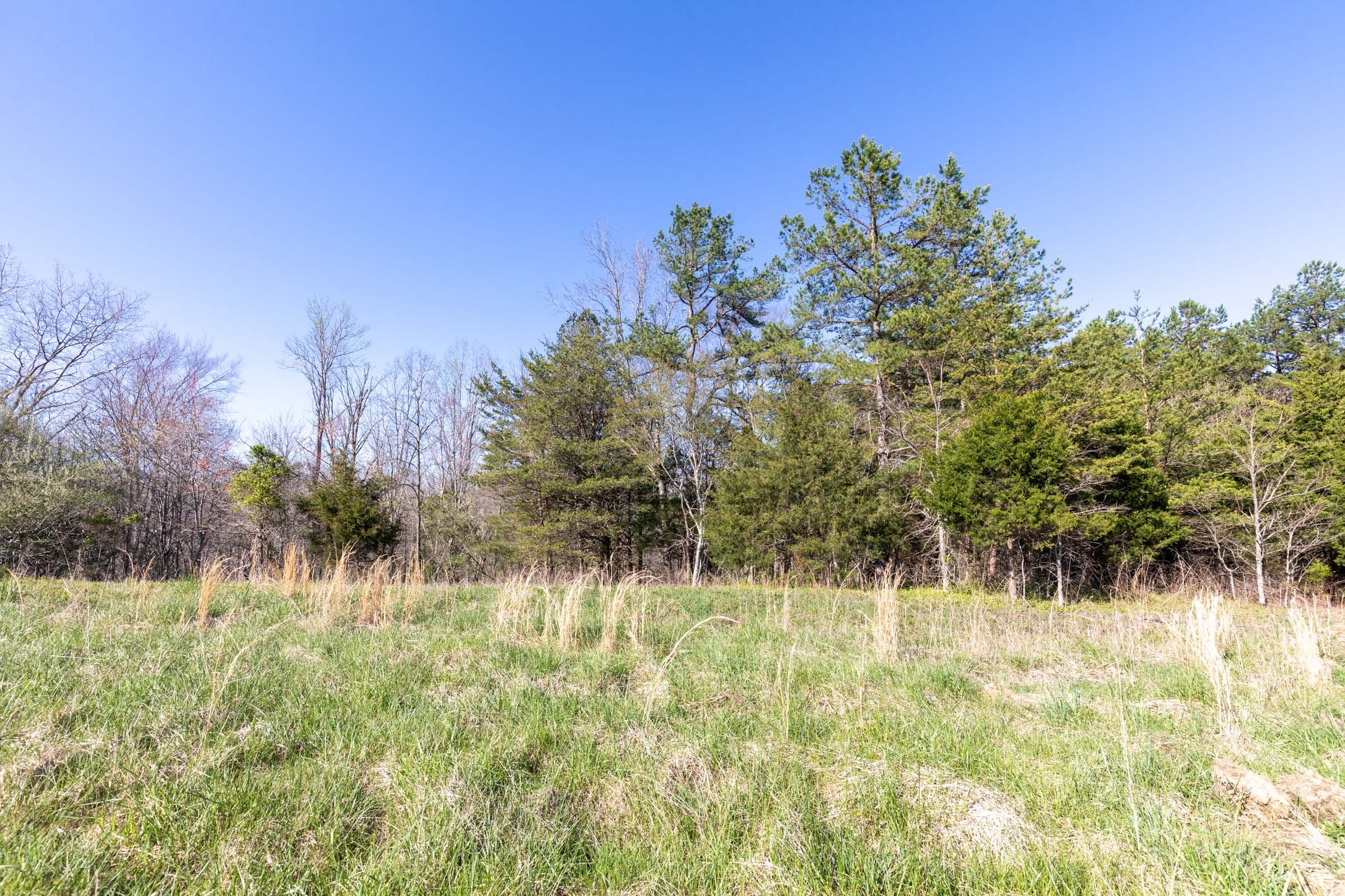 Woodland Heights photo 12