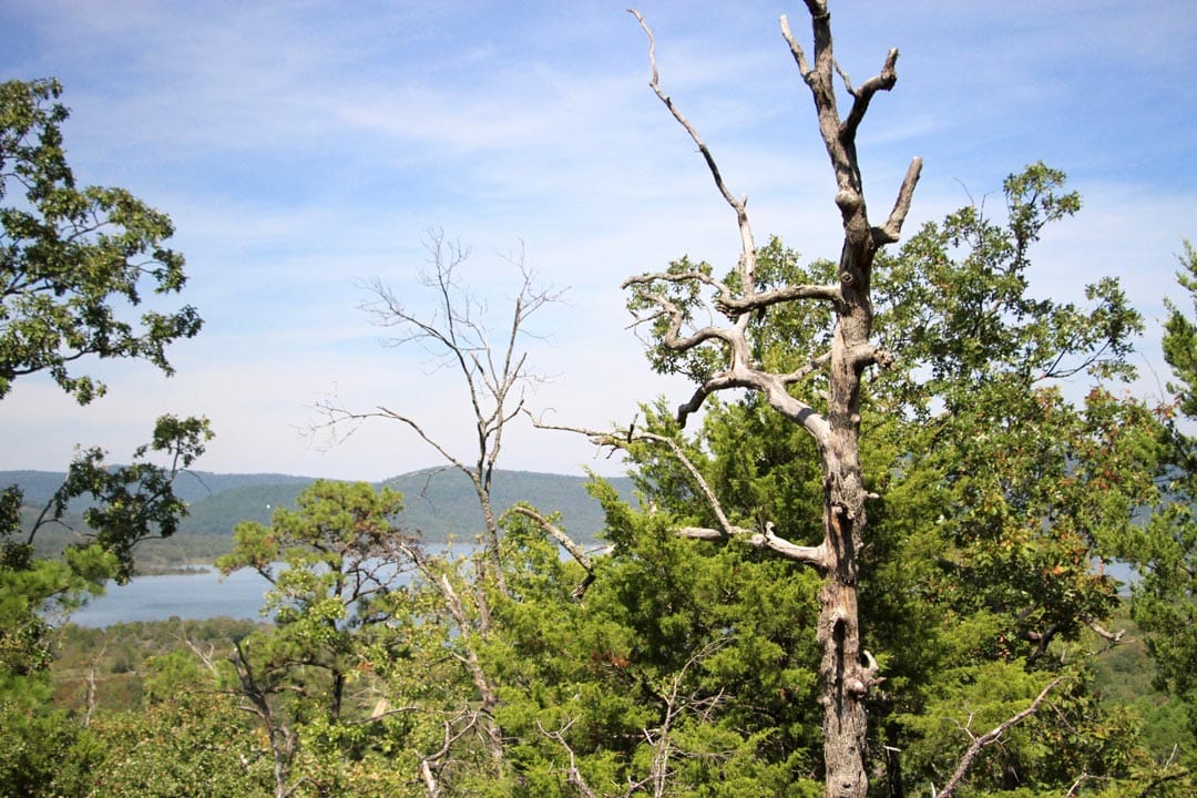 Lakeview Private Reserve photo 19