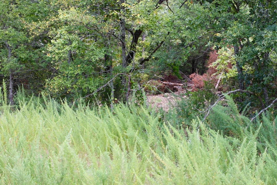 Lakeview Private Reserve photo 11