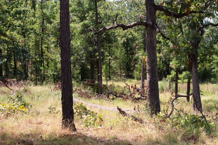 Lakeview Private Reserve photo 2