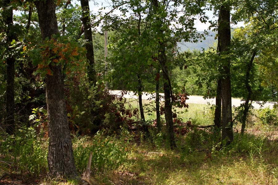 Lakeview Private Reserve photo 14
