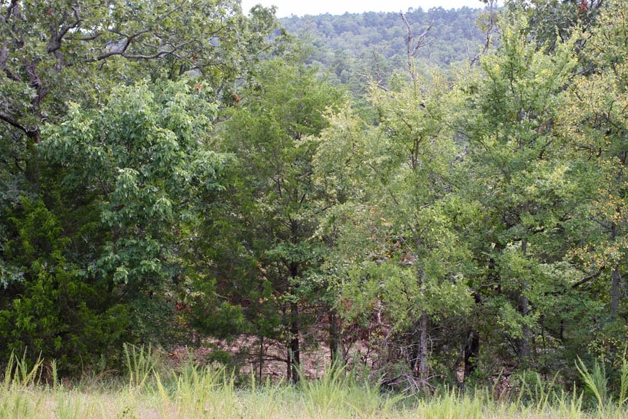 Lakeview Private Reserve photo 12