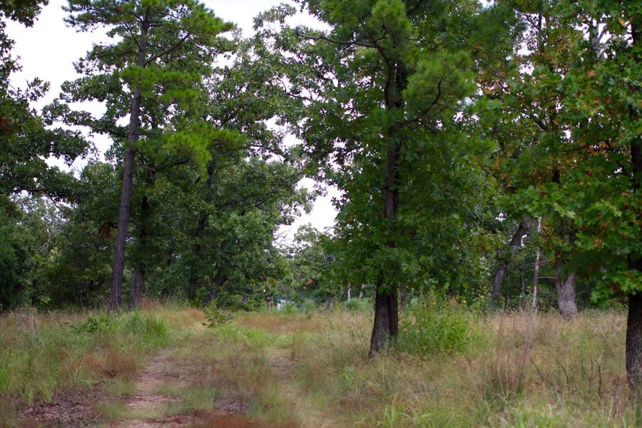 Lakeview Private Reserve photo 5