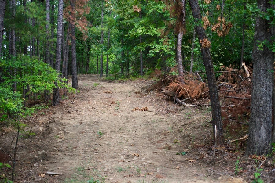 Lakeview Private Reserve photo 7