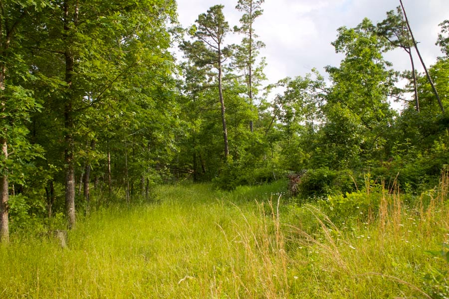 Thunder Mountain Ranch photo 10