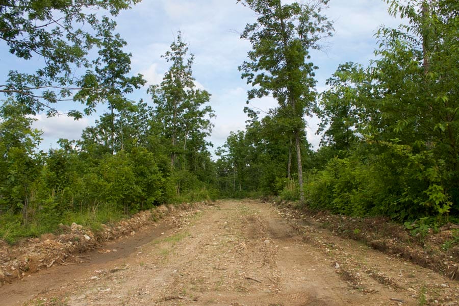 Thunder Mountain Ranch photo 6