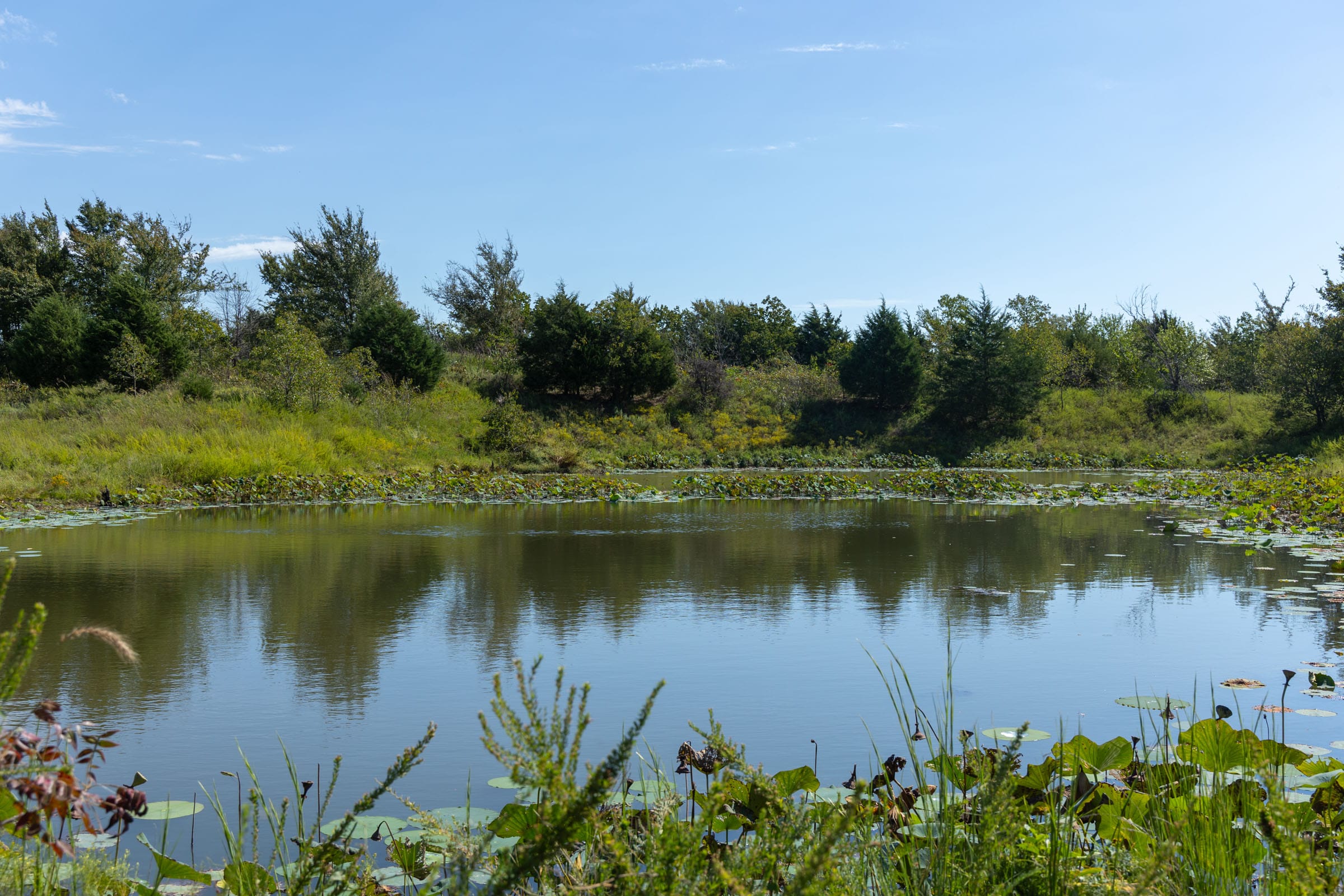 Reserves At Cattail Cove Phase II photo 11