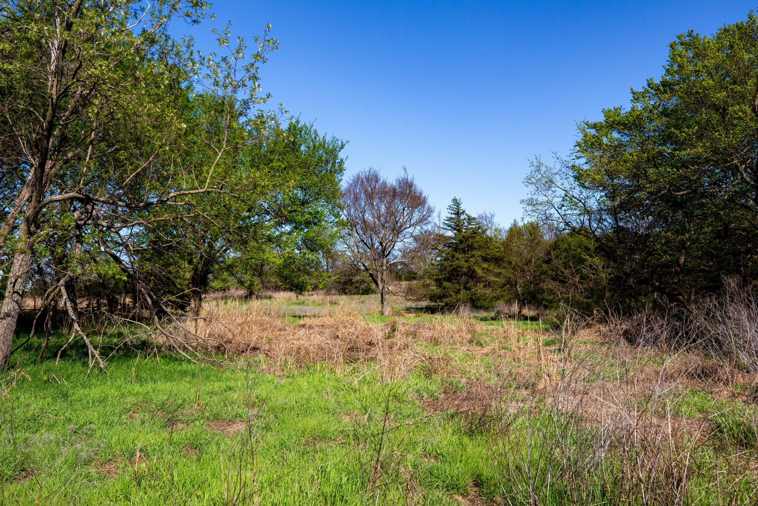 Prairie Grove photo 21