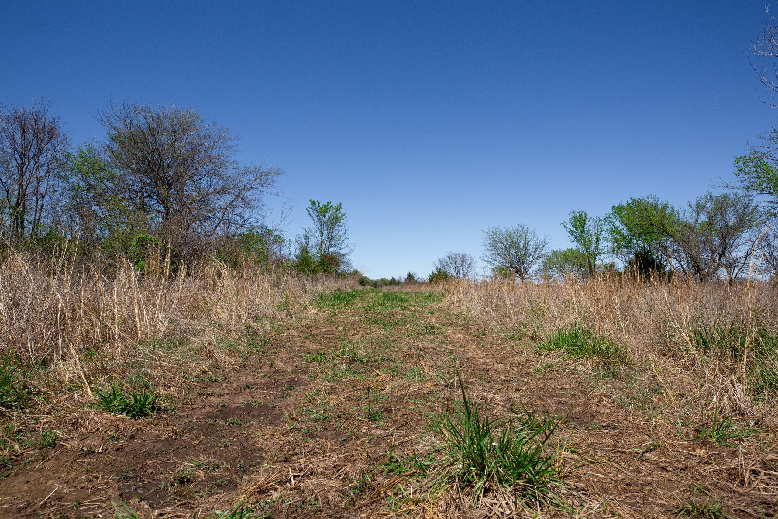 Prairie Grove photo 14