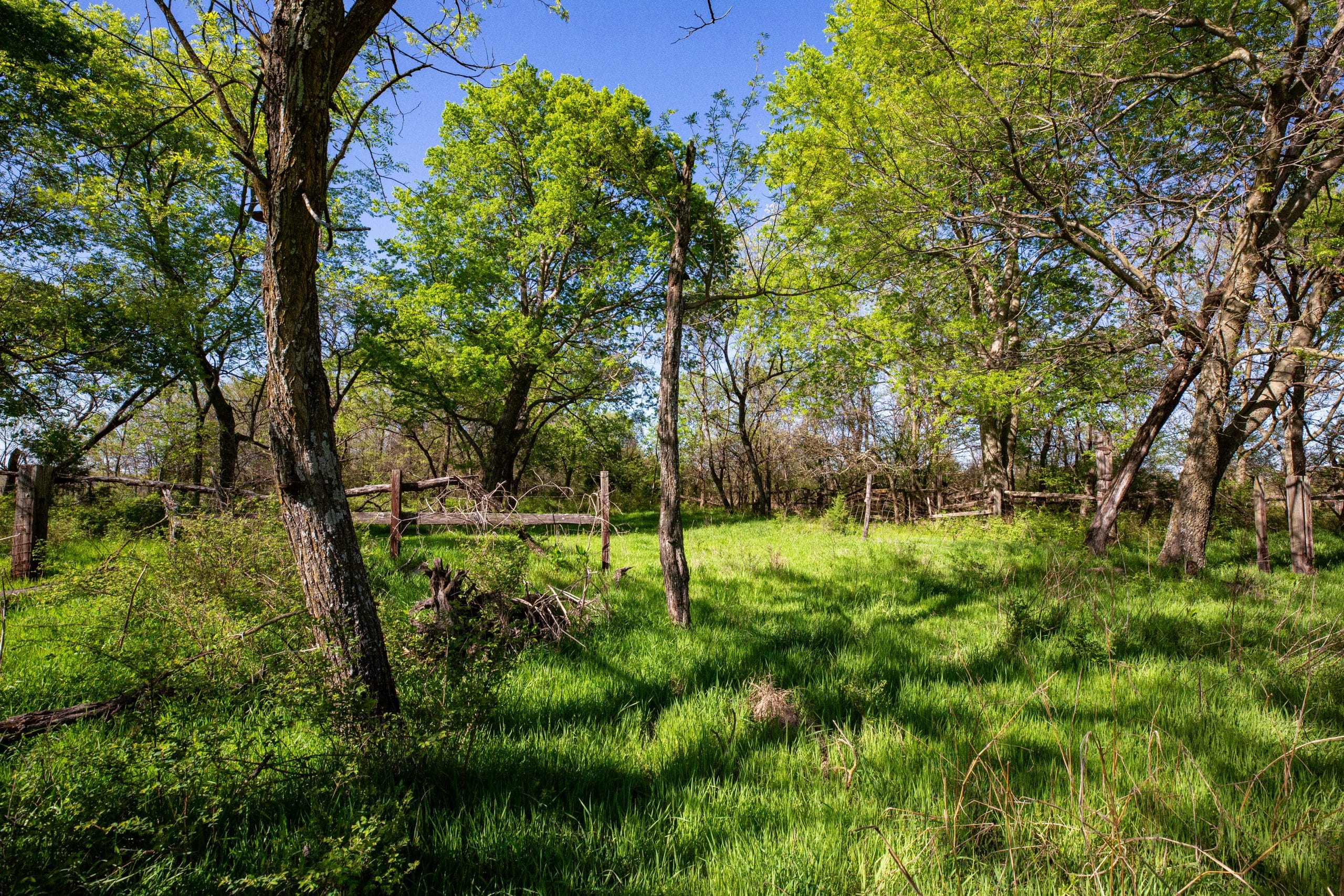 Prairie Grove photo 2