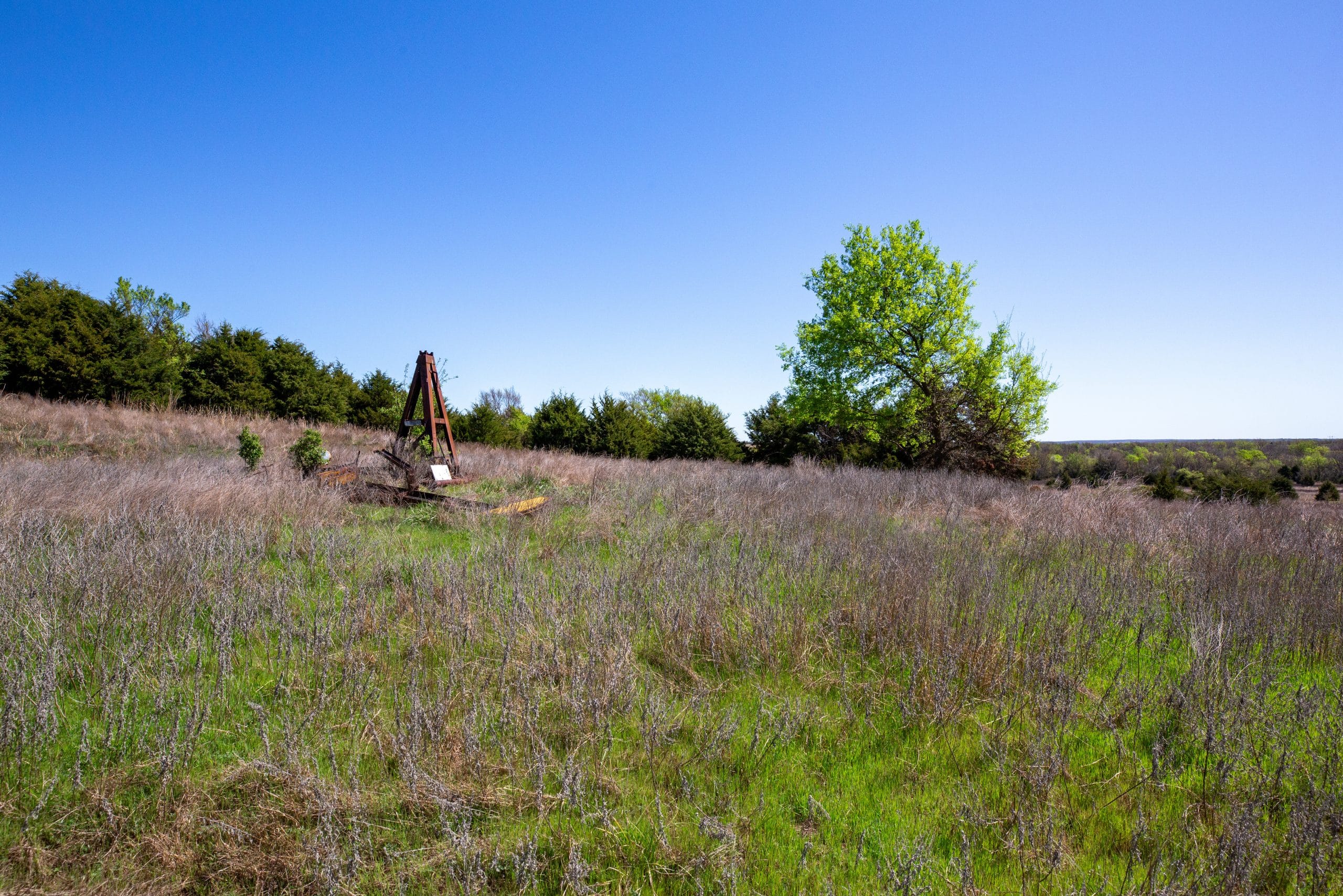 Prairie Grove photo 9