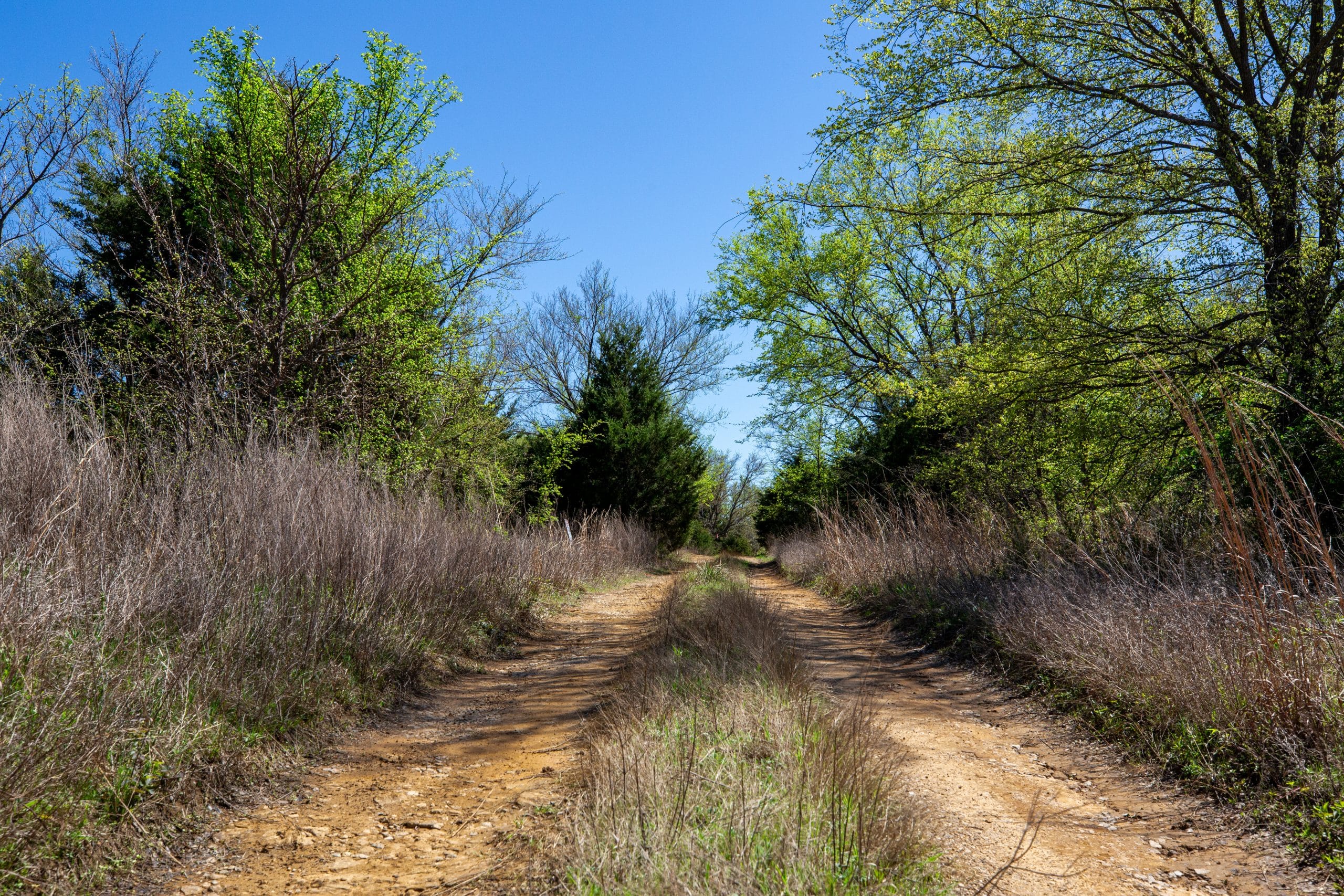 Prairie Grove photo 8