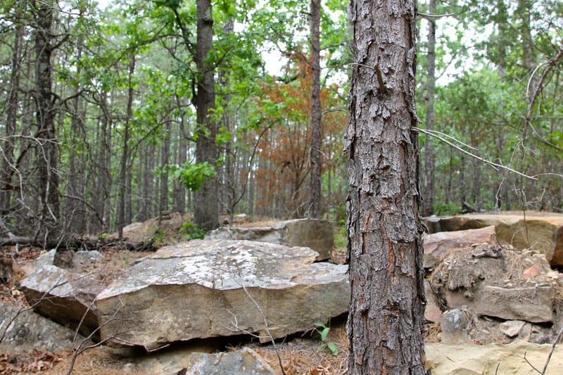 Trophy Ridge Phase III photo 6