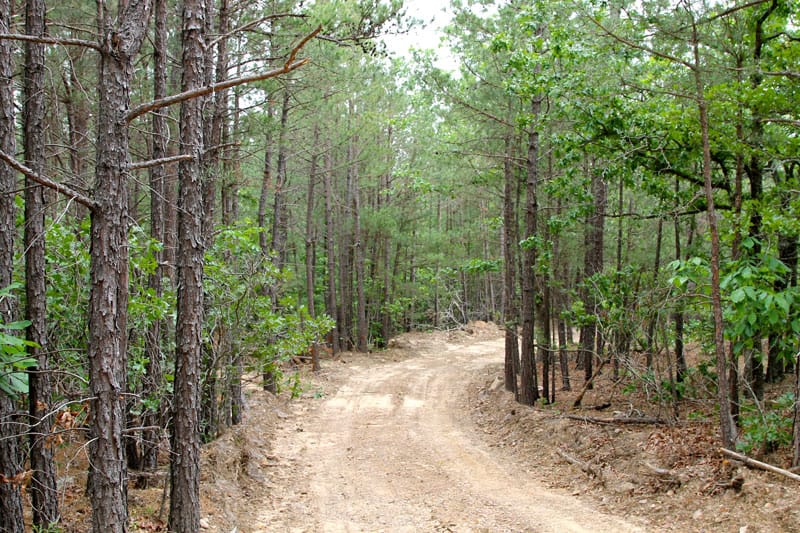 Trophy Ridge Phase III photo 5