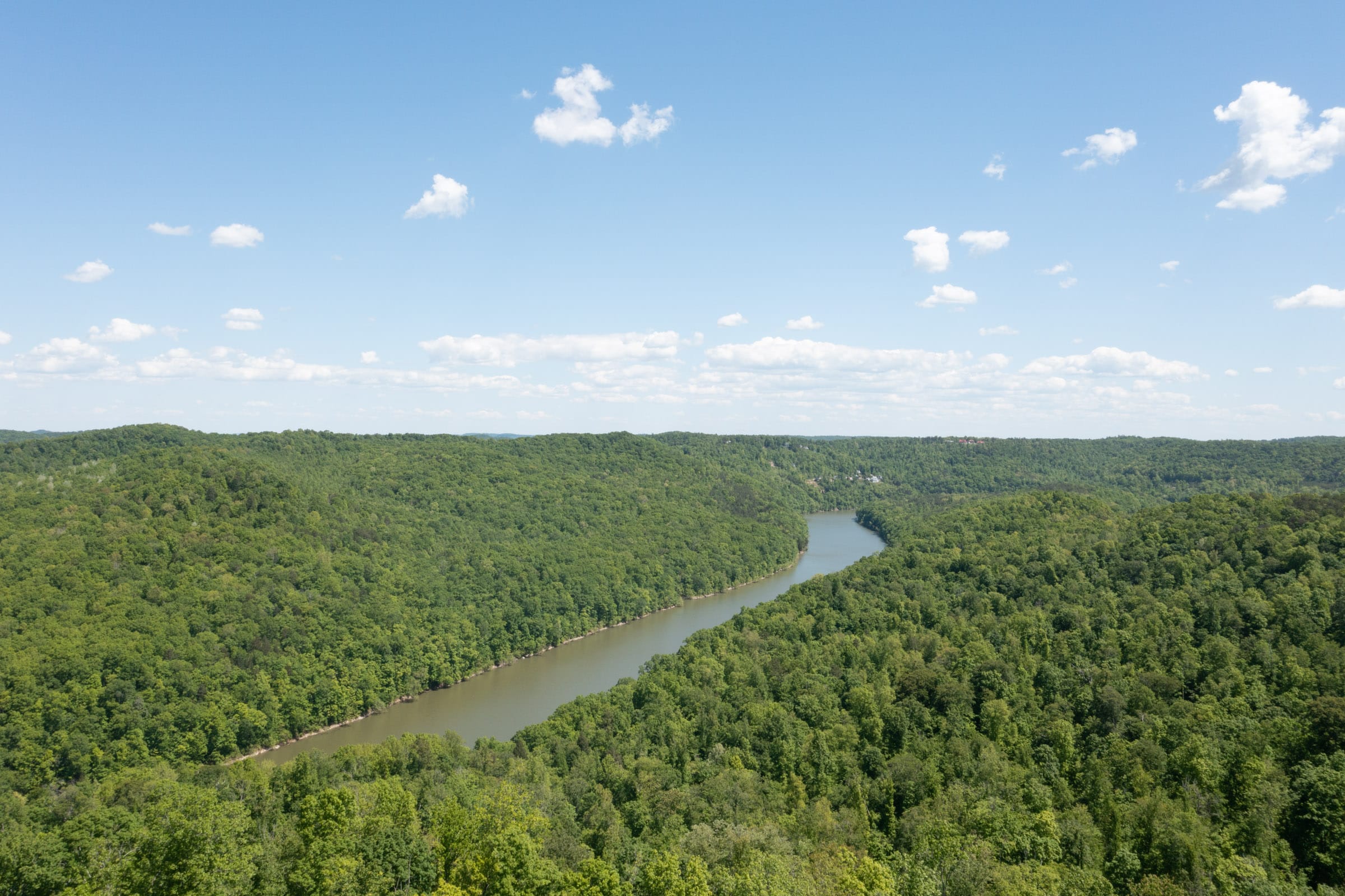 Riverbend photo 3