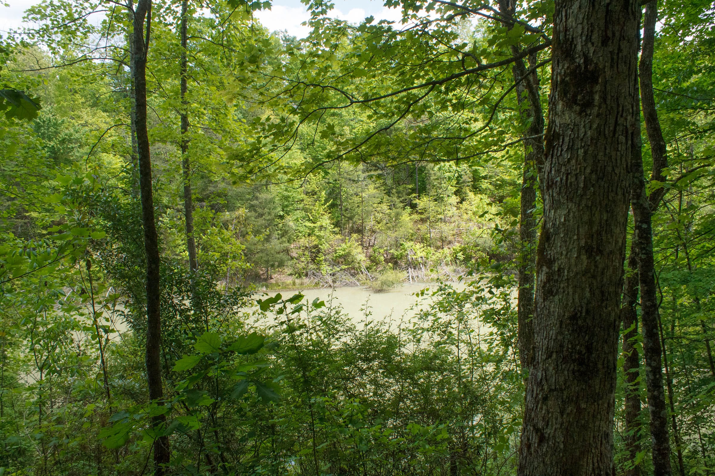 Riverbend photo 22