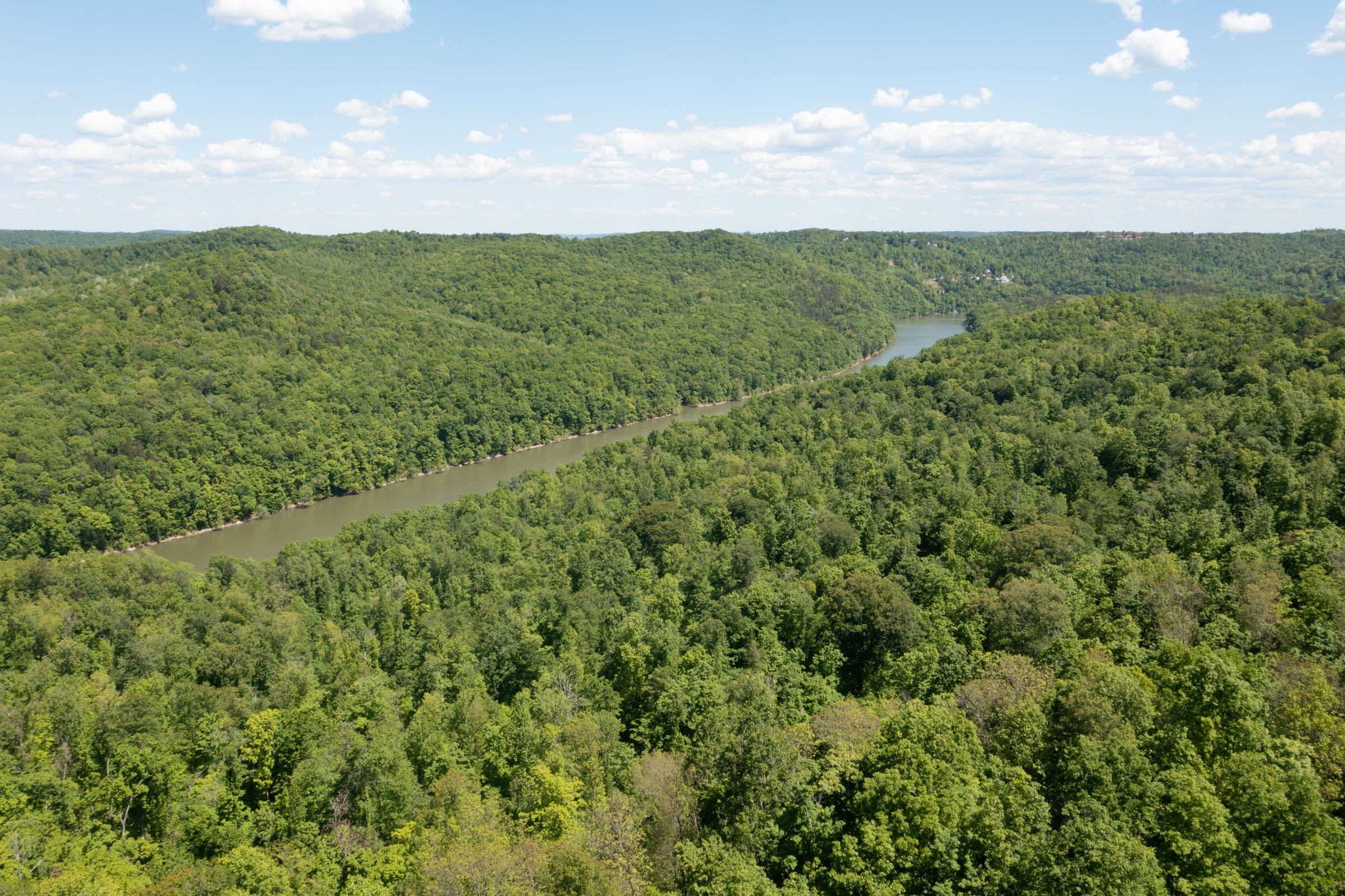 Riverbend photo 5