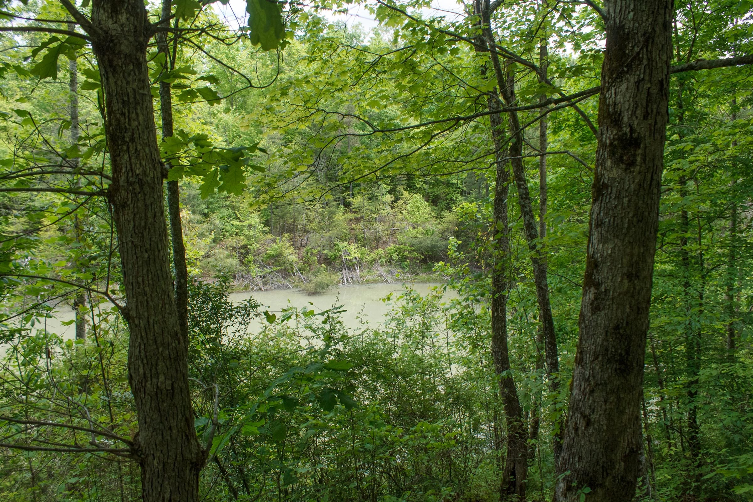 Riverbend photo 23