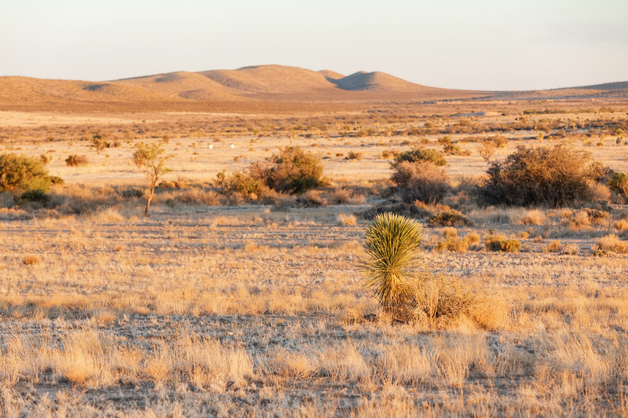 Sunrise Ranches photo 14