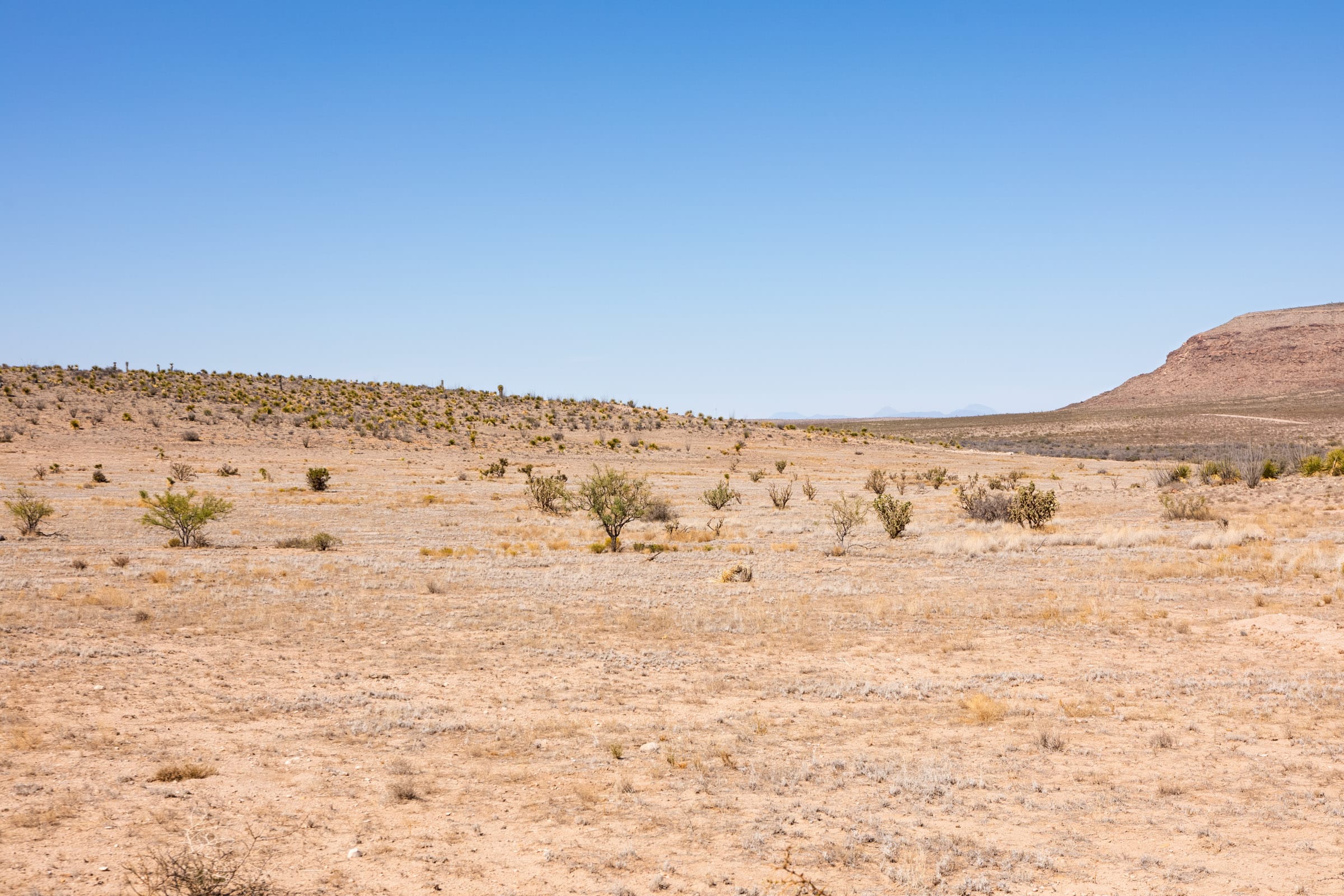 Sunrise Ranches Phase IV photo 16